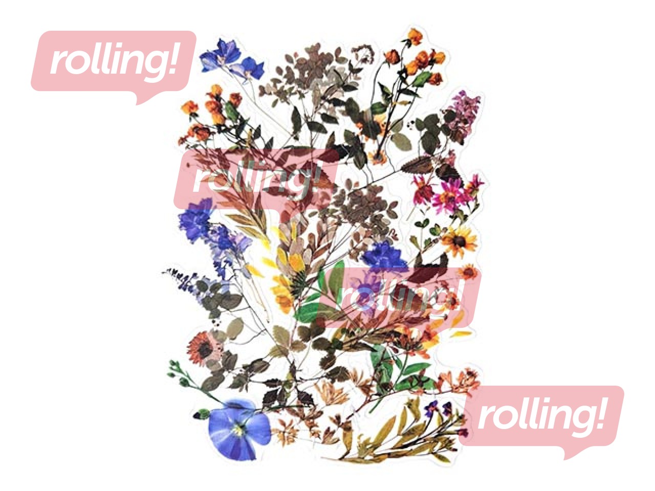 Наклейки Galeria Papieru Field Flowers