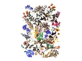 Uzlīmes Galeria Papieru Field Flowers