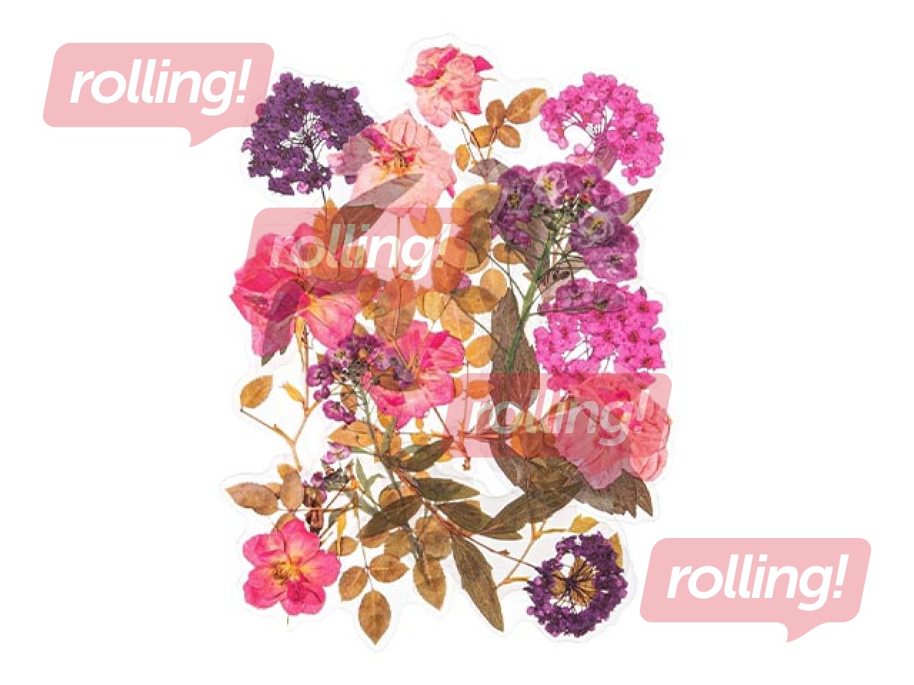 Uzlīmes Galeria Papieru Hydrangeas and Roses