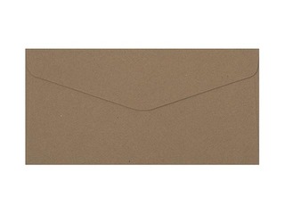 Aploksnes Kraft  DL, 10 gab, tumši bēšas