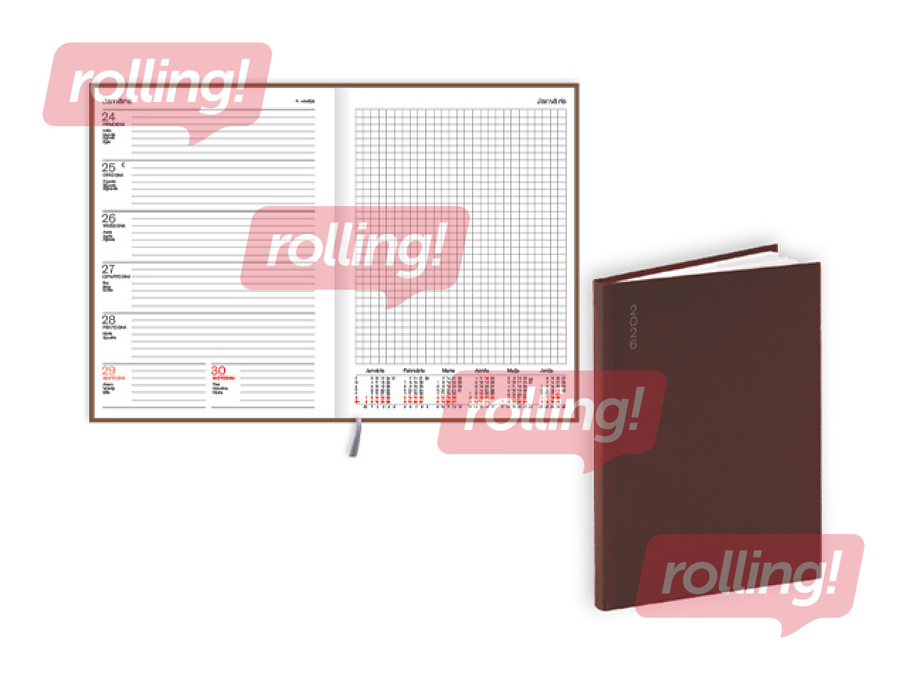 Diary Quadro Flex, A5, basis, brown