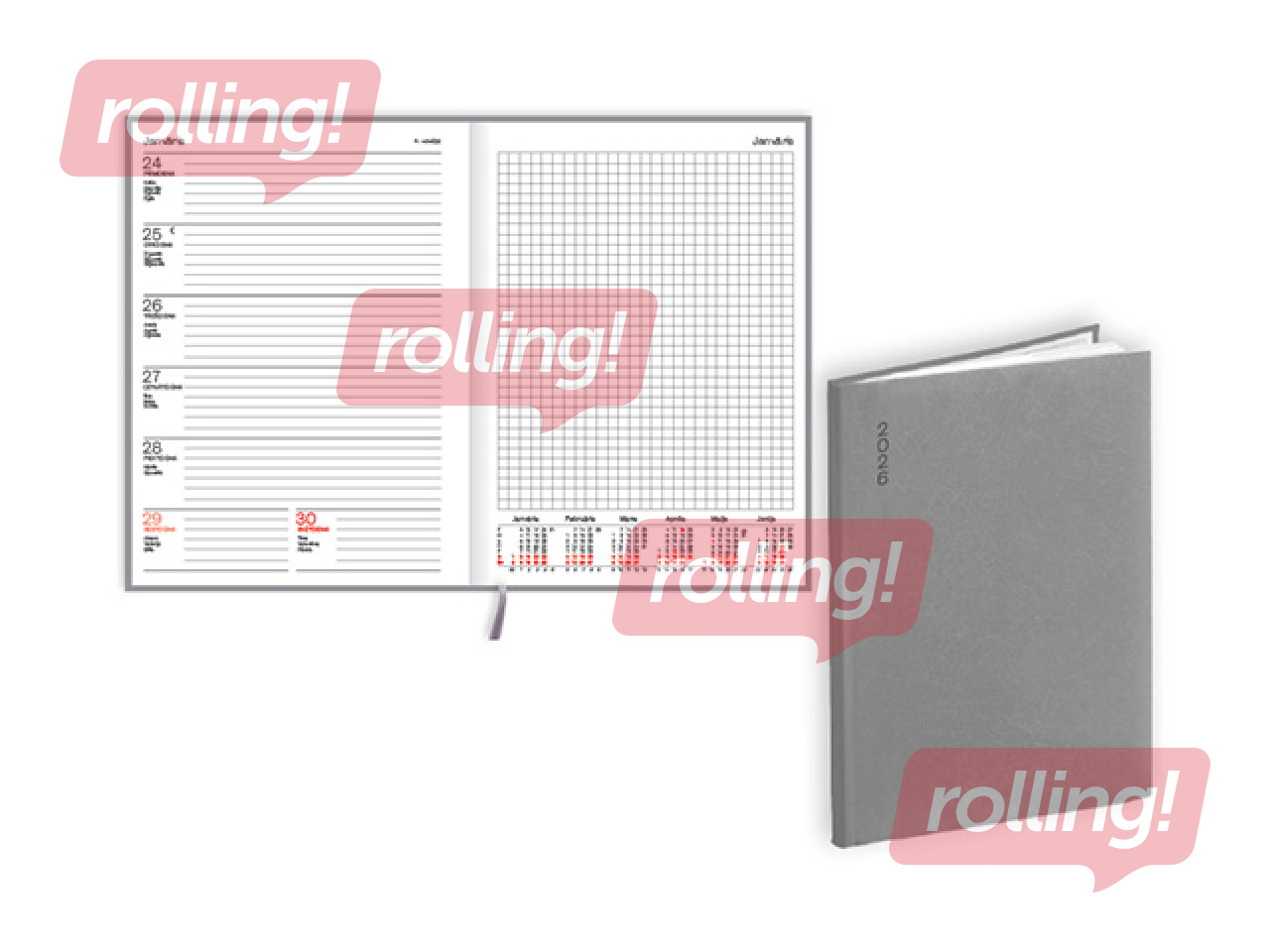 Diary Quadro Flex, A5, basis, grey 