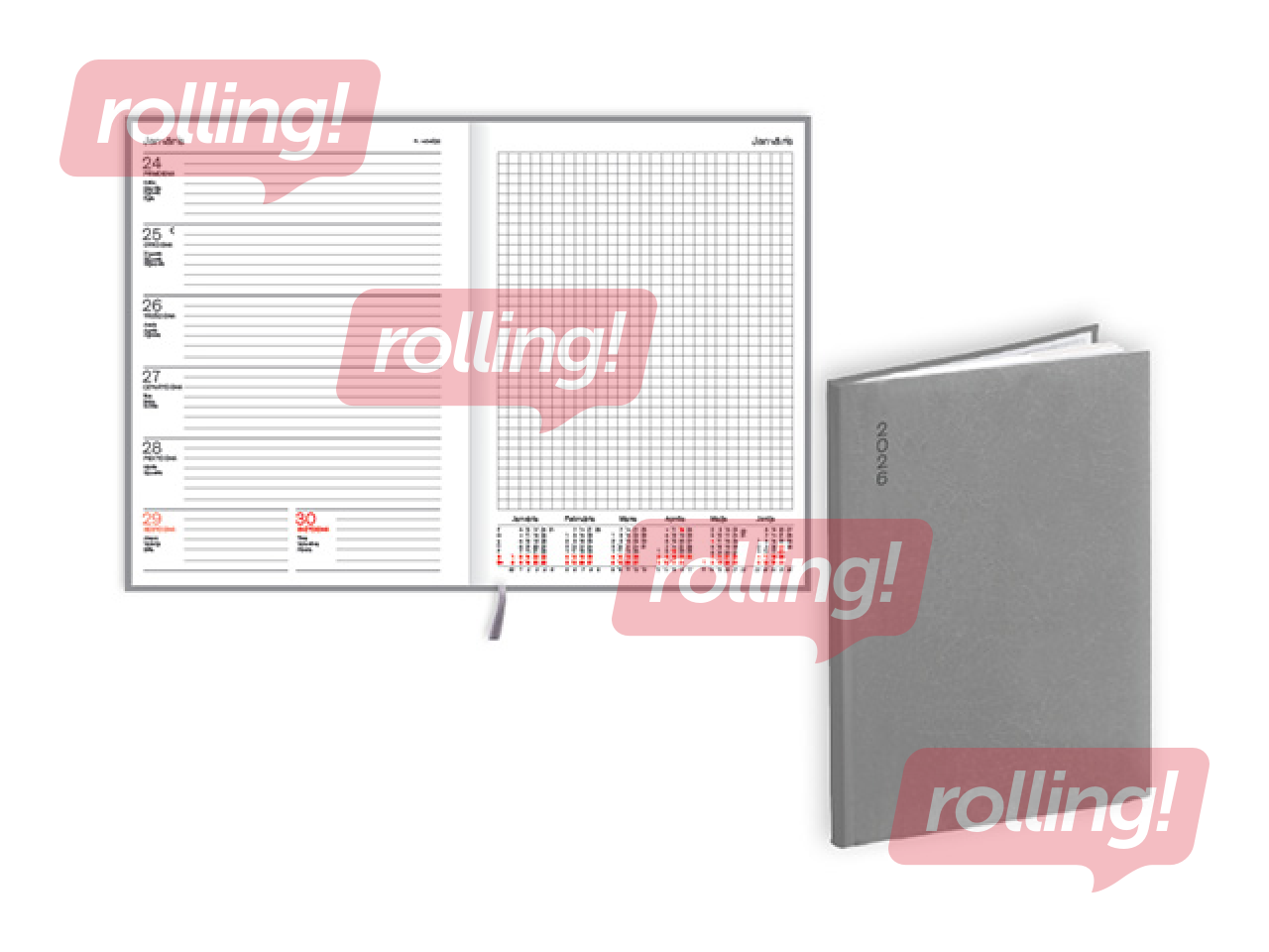 Dienasgrāmata Quadro Flex, A5, basis, pelēks