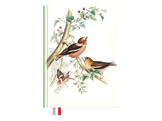 Dienasgrāmata - piezīmju bloks, 134 x 184 mm, Birds
