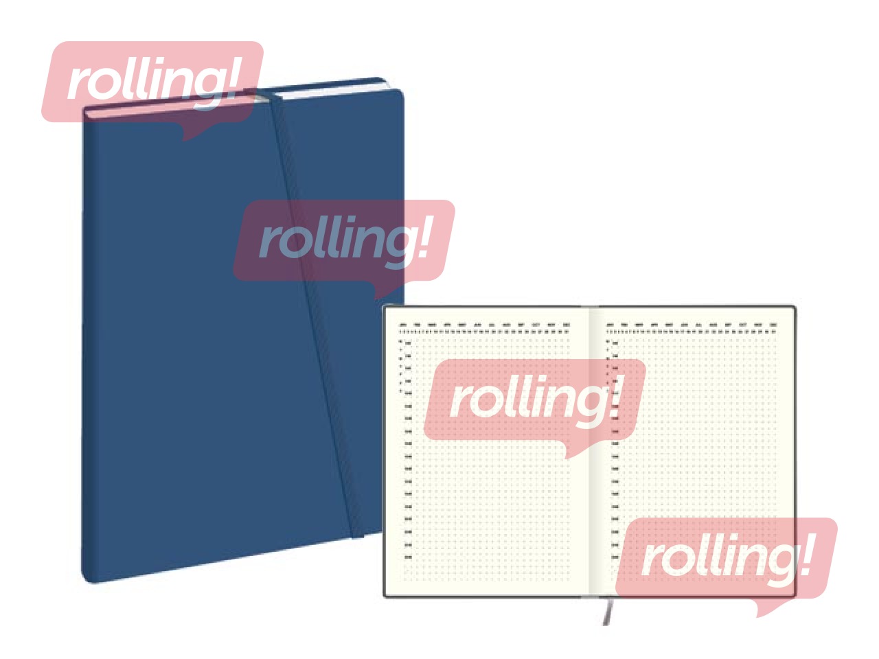 Dienasgrāmata Private, zila