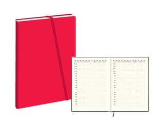 Diary Private, red