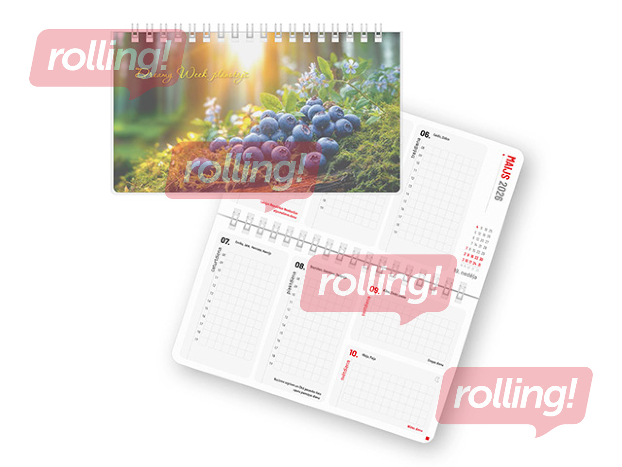 Diary Dreamy Week, 17x9.5 cm, Polyskin Nr.6