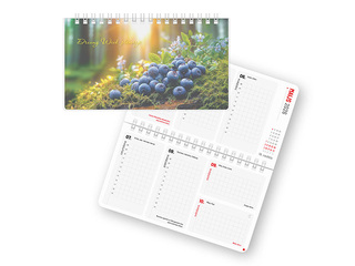 Ежедневник Dreamy Week, 17x9.5 см, Polyskin Nr.6