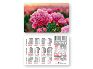 Kabatas kalendārs, divpusējs, Nr.1, 60x92mm