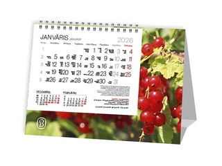 Table calendar Tent, Summer