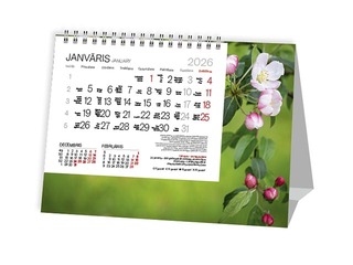 Table calendar Tent, Spring
