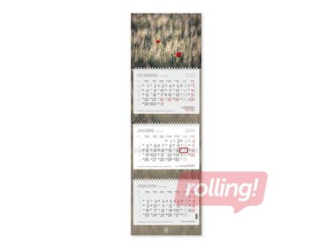Wall Calendar Trio plus