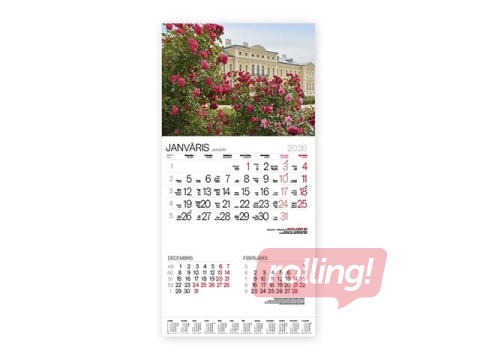 Sienas kalendārs Bonus Nr.11