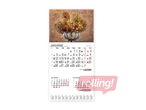 Wall calendar Bonus Nr.14