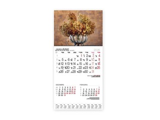 Wall calendar Bonus Nr.14