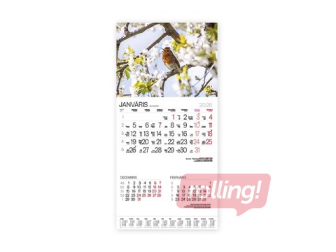 Sienas kalendārs Bonus Nr.15