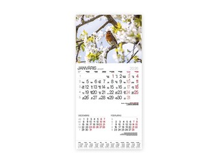 Sienas kalendārs Bonus Nr.15