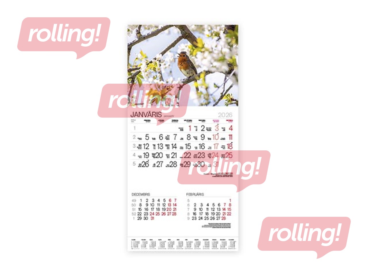 Wall Calendar Bonus Nr.15