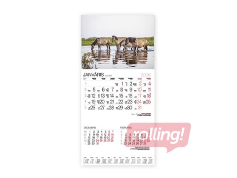 Sienas kalendārs Bonus Nr.3