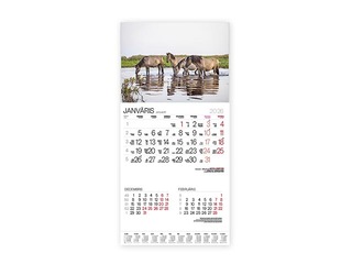 Wall Calendar Bonus Nr.3