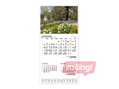 Wall Calendar Bonus Nr.7