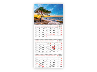 Sienas kalendārs Baltic, Priede, bez vārda dienām