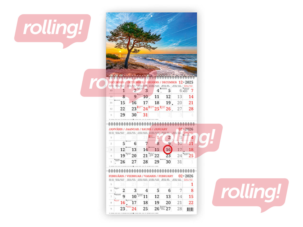 Sienas kalendārs Baltic, Priede, 2026