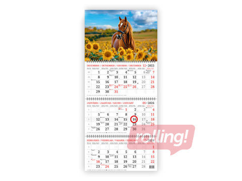 Sienas kalendārs Baltic, Zirgs, bez vārda dienām