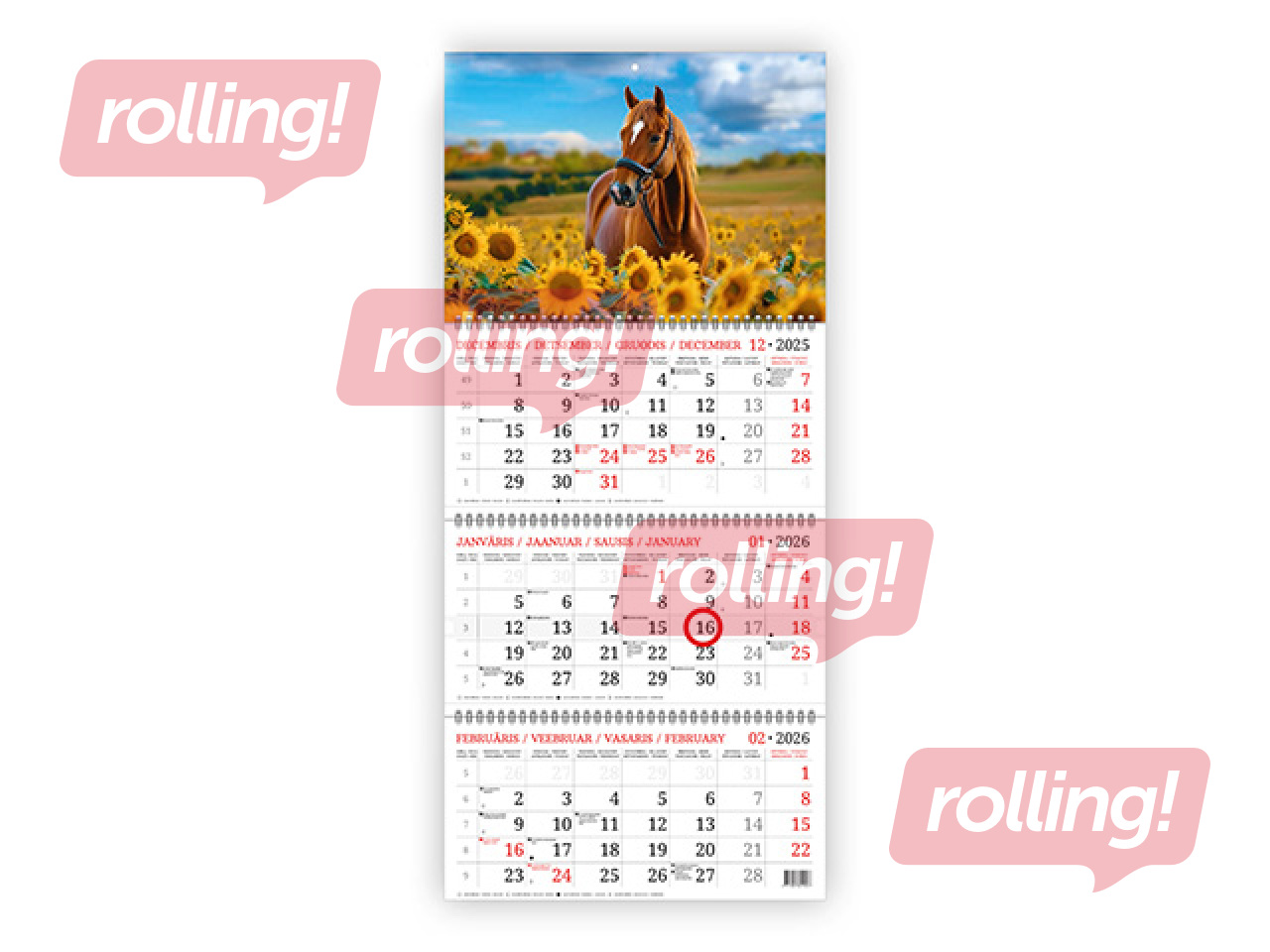 Sienas kalendārs Baltic, Zirgs, bez vārda dienām