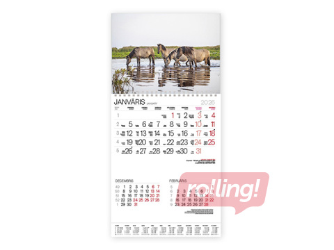 Sienas kalendārs Bonus ar spirāli Nr.3