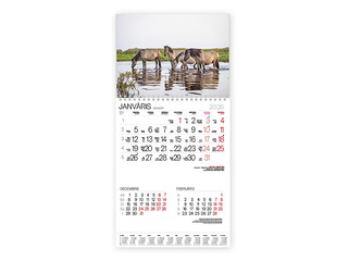 Wall calendar Bonus with spiral Nr.3