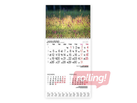 Sienas kalendārs Bonus ar spirāli Nr.12