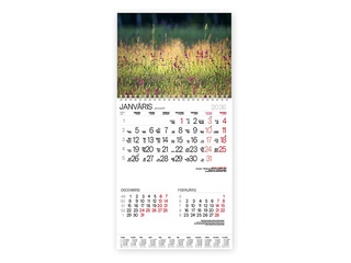 Wall calendar Bonus with spiral Nr.12