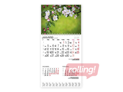 Sienas kalendārs Bonus ar spirāli Nr.13, 2026