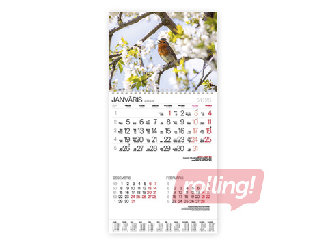 Wall calendar Bonus with spiral Nr.15
