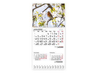 Wall calendar Bonus with spiral Nr.15