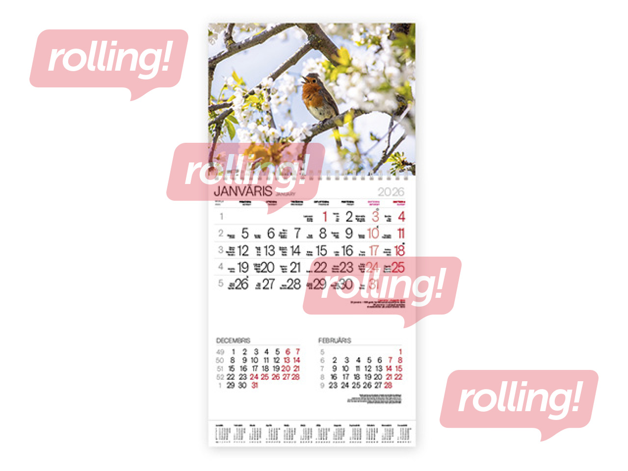 Wall calendar Bonus with spiral Nr.15