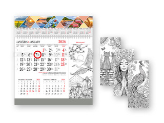 Wall calendar Color Me