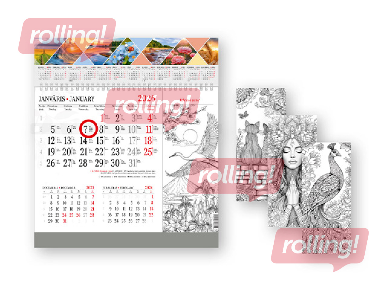 Wall calendar Color Me