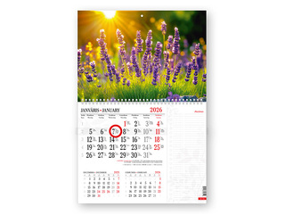 Wall calendar Notes