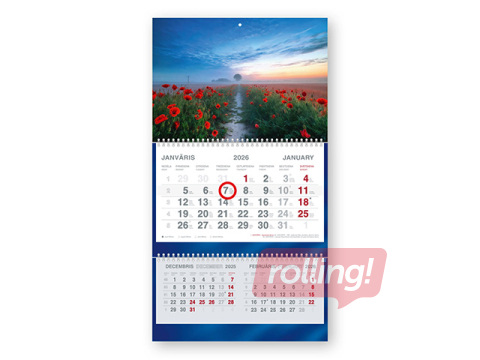 Sienas kalendārs Short Plus, Magones