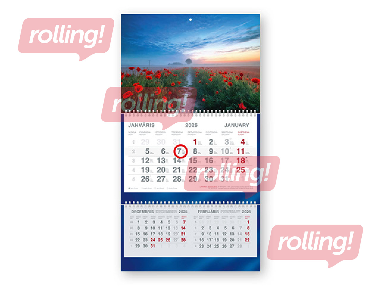 Sienas kalendārs Short Plus, Magones