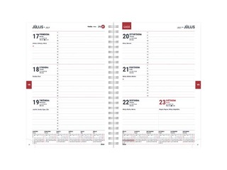 Skolotāja dienasgrāmata Spirex, A5, tumši brūna