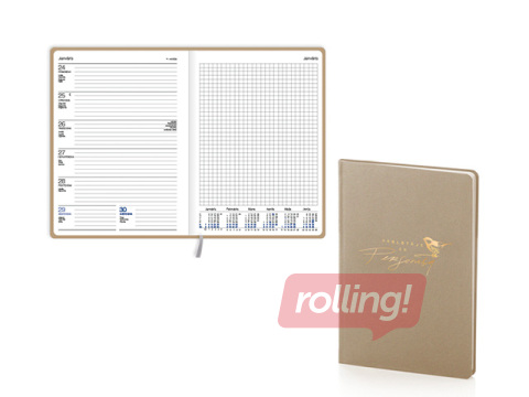 Skolotāja dienasgrāmata Ziedonis, Skolotājs ir personība, bēša