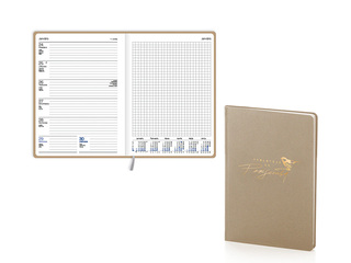 Skolotāja dienasgrāmata Ziedonis, Skolotājs ir personība, bēša