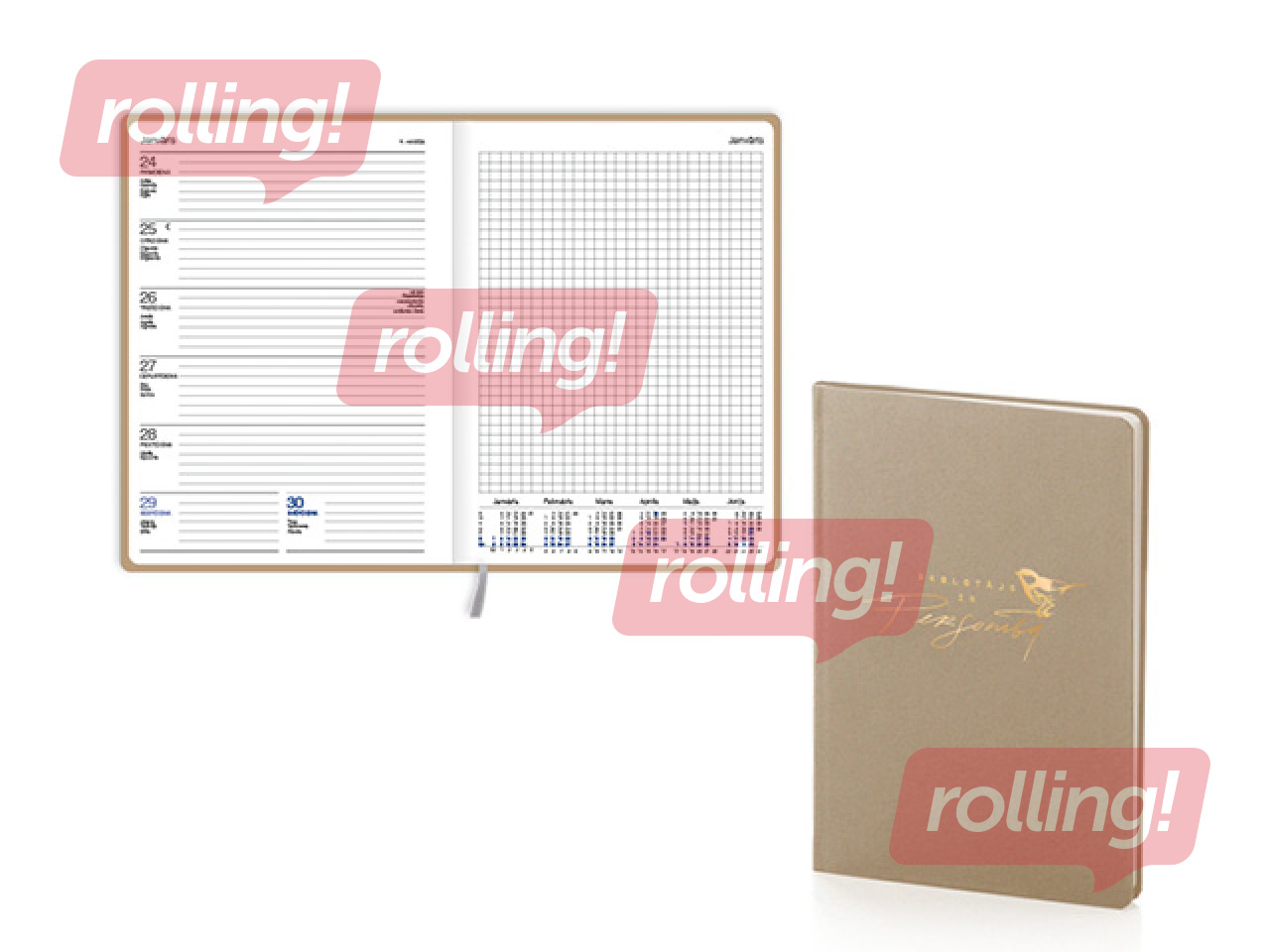 Skolotāja dienasgrāmata Ziedonis, Skolotājs ir personība, bēša