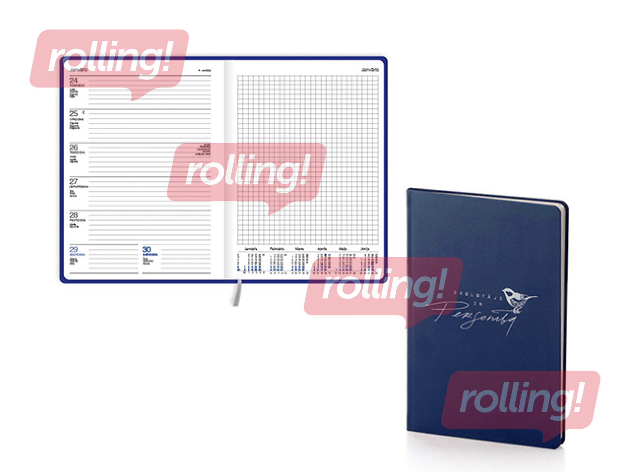 Skolotāja dienasgrāmata Ziedonis, Skolotājs ir personība, tumši zila