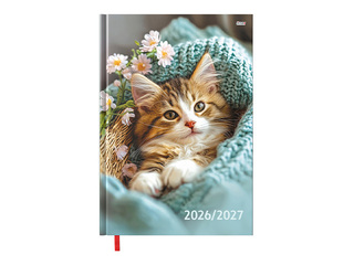Skolēnu dienasgrāmata, 1.-9. klasei, A5, Nr.6