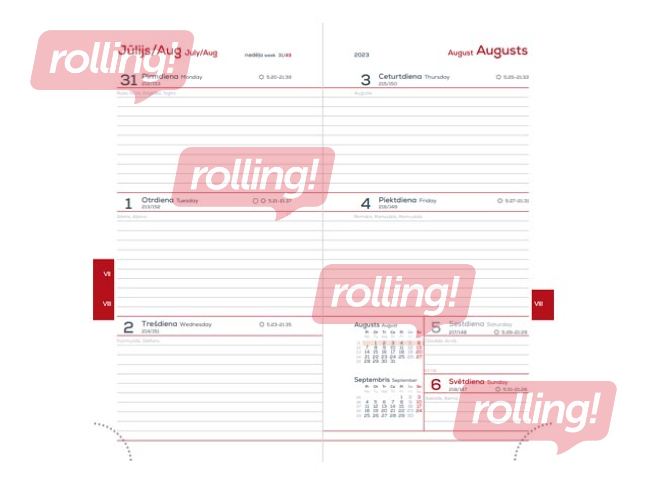 Skolēnu dienasgrāmata, 10.-12. kl., Midi Flex, 90x167 mm, pelēka