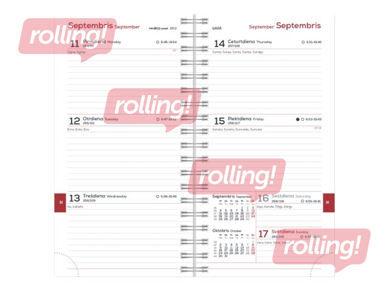 Student diary, grades 10-12, Midi Spirex, 100x170 mm, pink